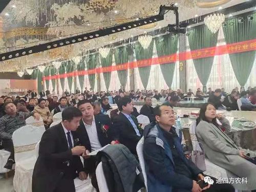 ȫ�S�C�o��ÿһλ�͑���������ȥ�P(gu��n)ע���Ε�(hu��)�h�ă�(y��u)������